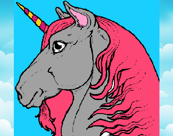 Cap d'unicorn