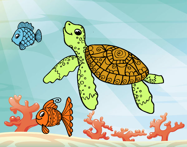 tortuga del mar