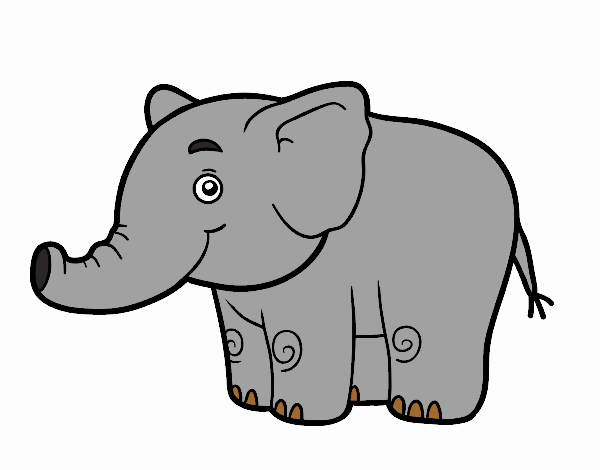 Un elefantet