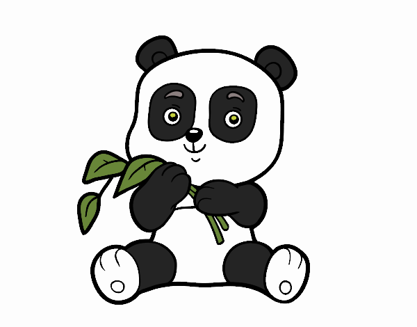 Un ós panda