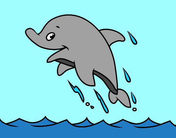 Dofí simpàtic