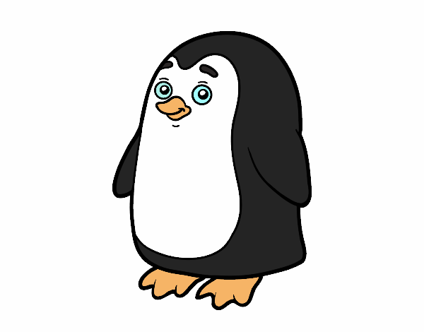 Pingüí antàrtic