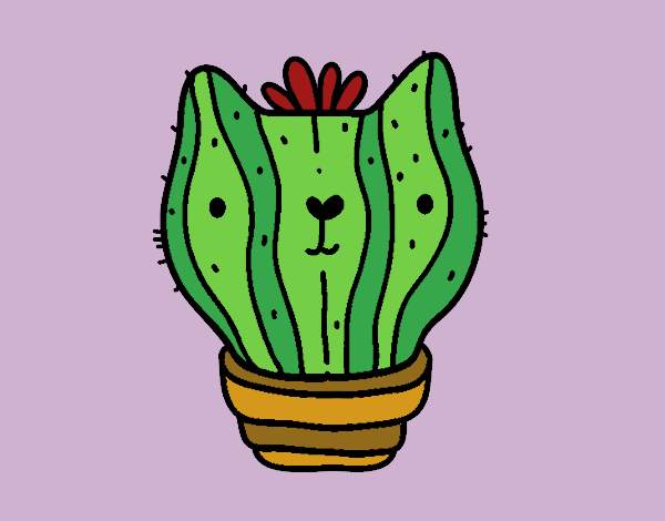 Cactus gat