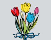 Tulipes amb llaç