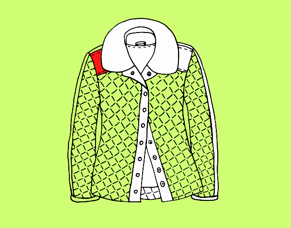 Una jaqueta