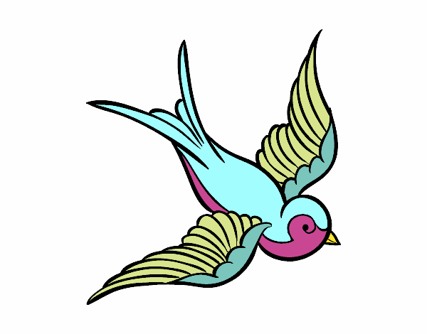 ocell de la pau de colors
