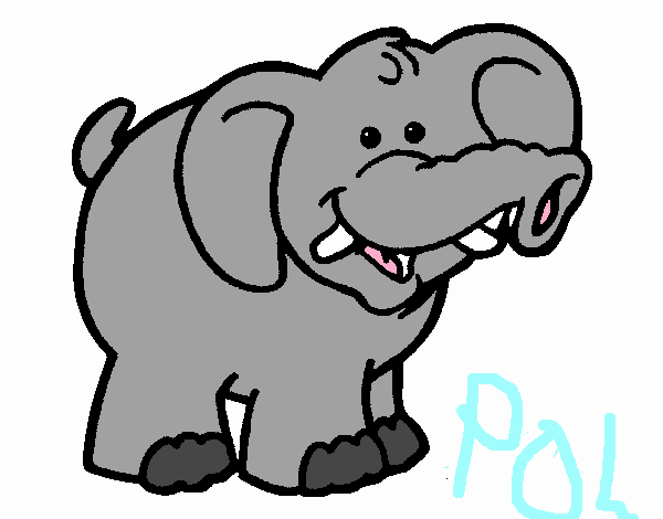 Elefant 6