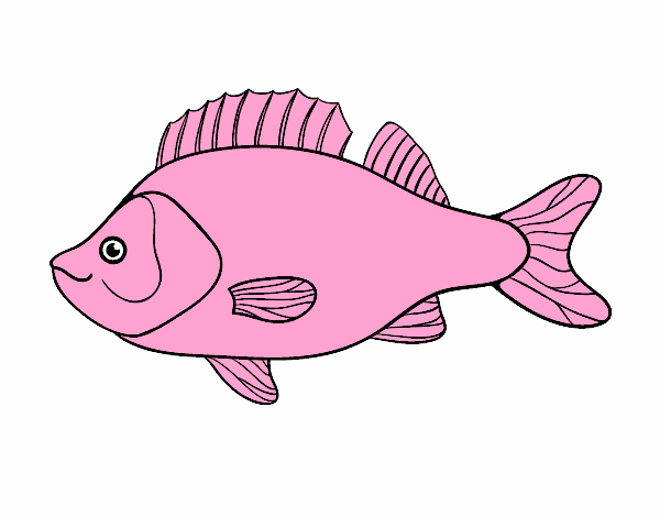 El peix rosa 