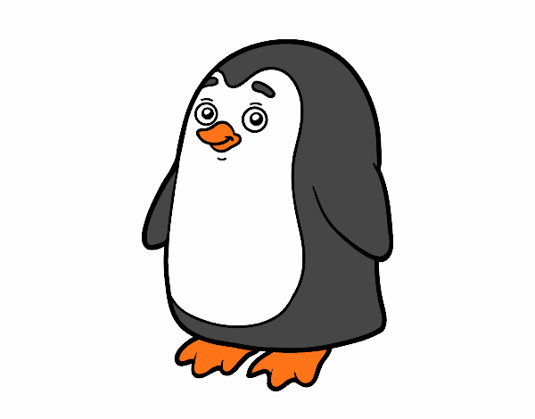 Pingüí antàrtic