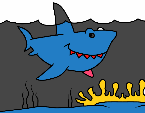 Tauró marí