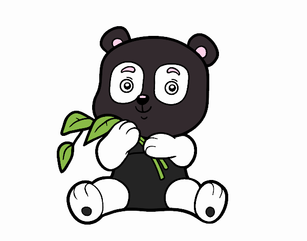 panda bruna