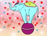 Elefant equilibrista