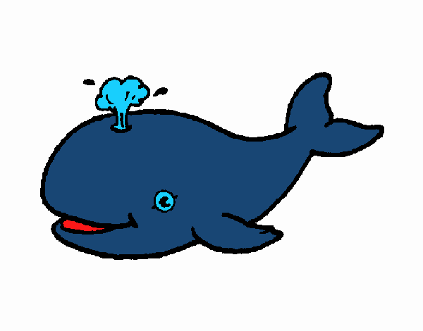 Balena ivet 