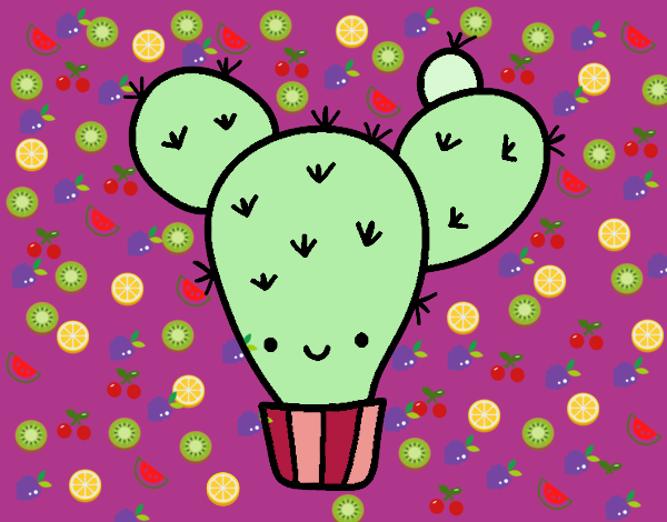 cactus frutita
