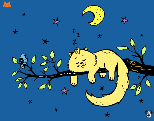 El gat i la lluna