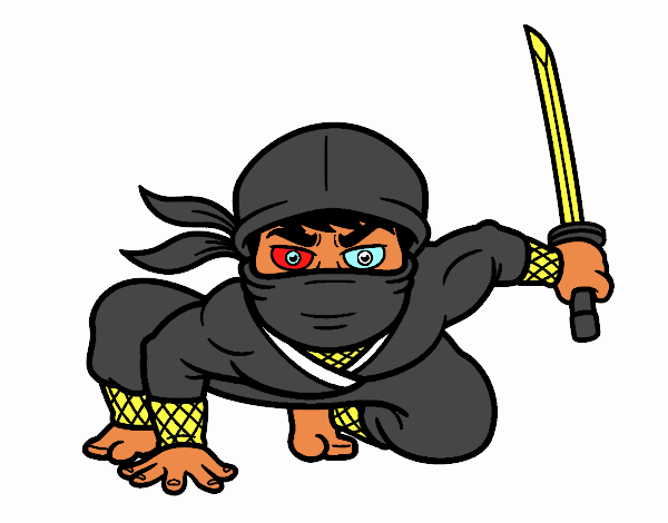 Ninja japonès