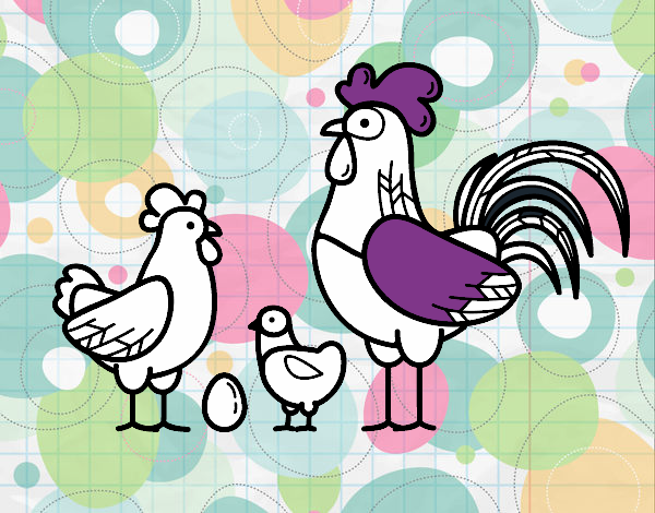 Família gallina