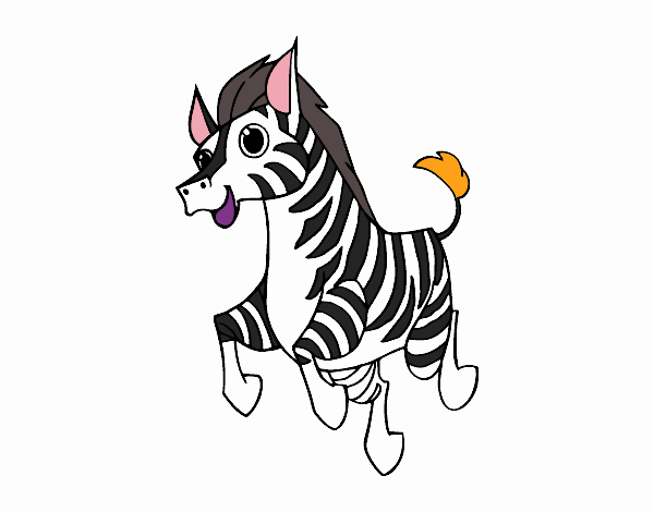 Una Zebra