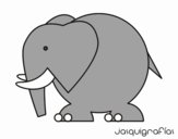 Elefant gran