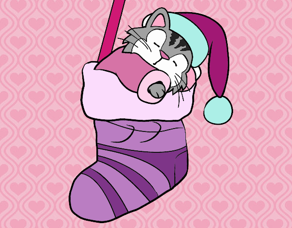 Gatet dormint en un mitjó de Nadal