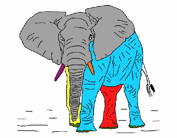 Elefant 1