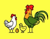 Família gallina