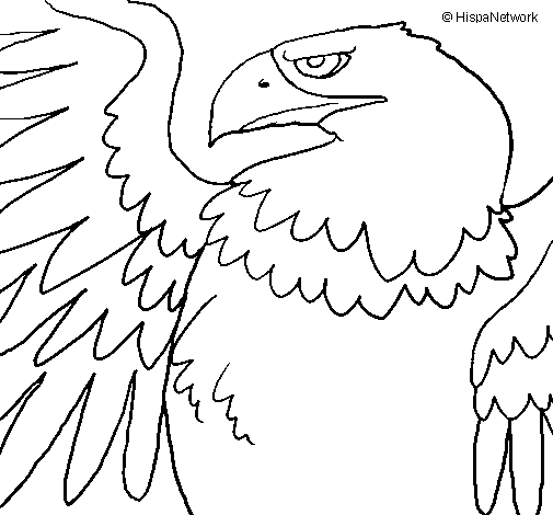 Dibuix de Àguila Imperial Romana per Pintar on-line