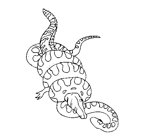 Dibuix de Anaconda i caiman per Pintar on-line