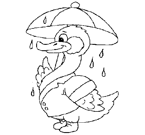 Dibuix de Ànec sota la pluja per Pintar on-line