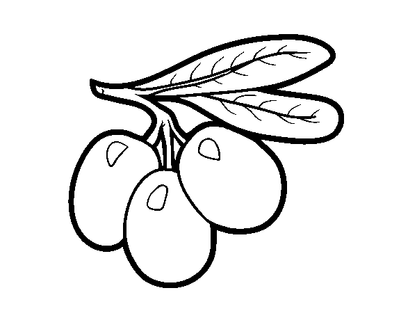 Dibuix de Branca d'olives per Pintar on-line