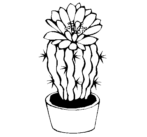Dibuix de Cactus amb flor per Pintar on-line