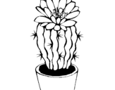 Dibuix de Cactus amb flor per pintar