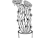 Dibuix de Cactus amb flors per pintar