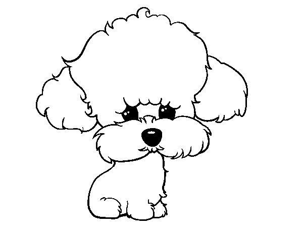 Dibuix de Cadell de poodle per Pintar on-line