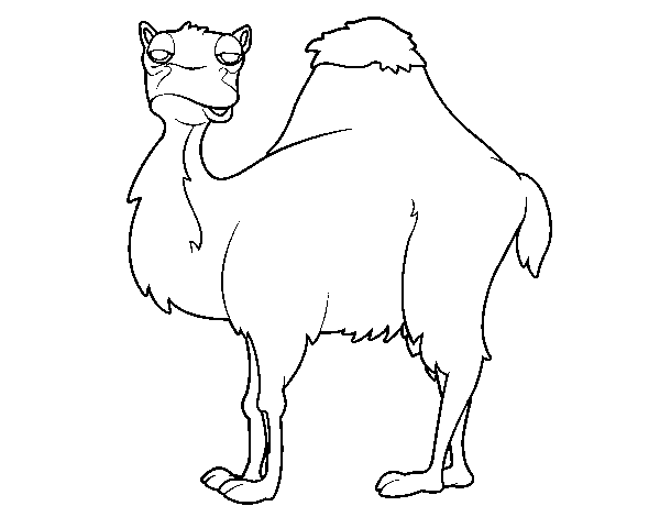 Dibuix de Camell avorrit per Pintar on-line