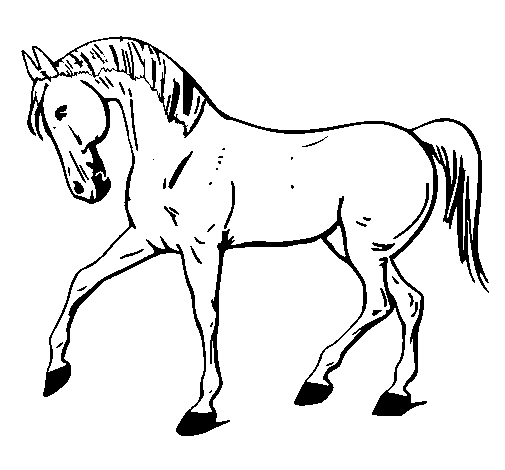 Dibuix de Cavall amb la pota aixecada  per Pintar on-line