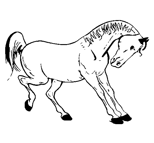 Dibuix de Cavall dansaire per Pintar on-line
