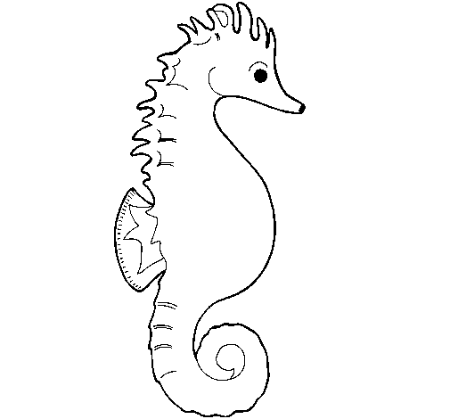 Dibuix de Cavall de mar per Pintar on-line