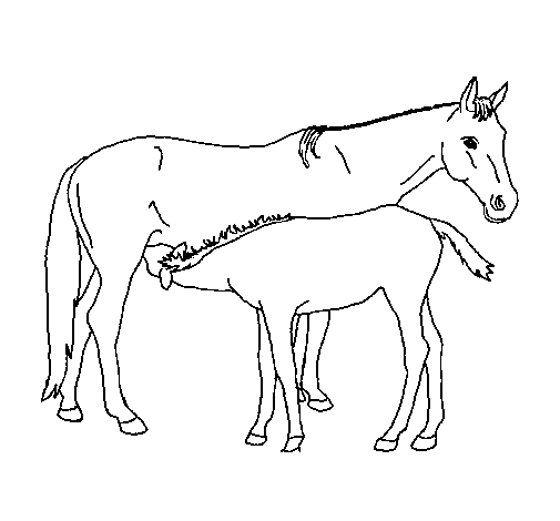 Dibuix de Cavalls per Pintar on-line