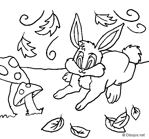 Dibuix de Conill 3 per Pintar on-line