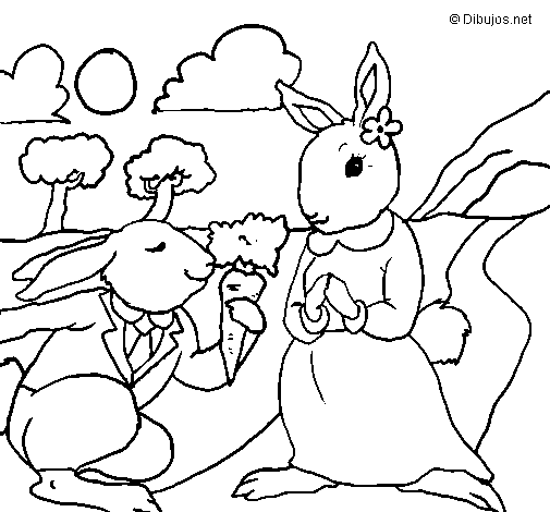 Dibuix de Conills per Pintar on-line
