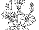 Dibuix de Conjunt floral per pintar