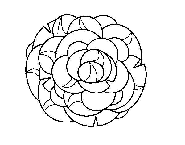 Dibuix de Crisantem per Pintar on-line