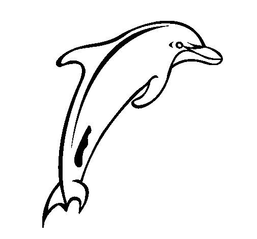 Dibuix de Dofí adult per Pintar on-line