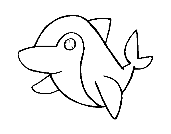Dibuix de Dofí comú per Pintar on-line