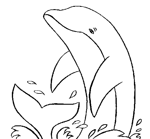 Dibuix de Dofí xipollejant per Pintar on-line