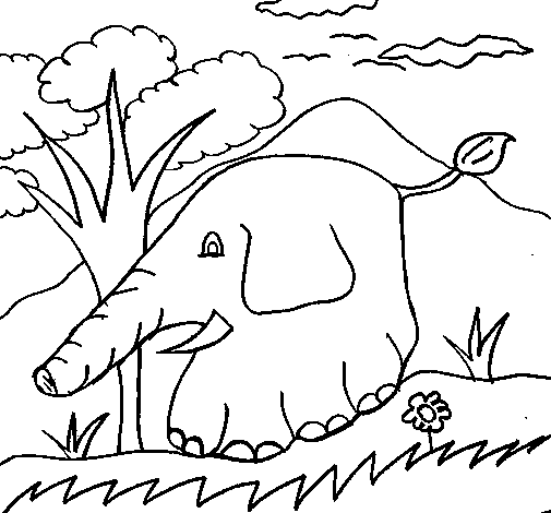 Dibuix de Elefant 5 per Pintar on-line