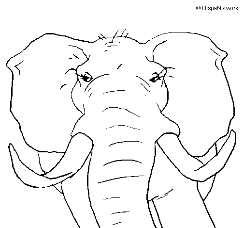 Dibuix de Elefant africà per Pintar on-line