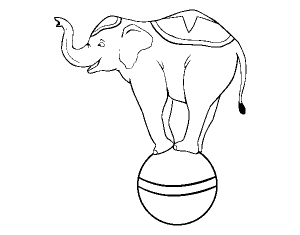 Dibuix de Elefant equilibrista per Pintar on-line