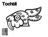 Dibuix de Els dies asteques: el conill Tochtli per pintar